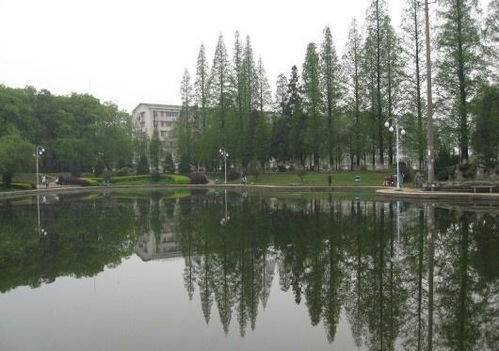 湖南農業大學園藝園林學院 以科技與教育引領農業園藝服務創新