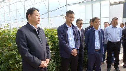 考察學習交流 優勢互補促發展，共繪農業園藝服務新篇章